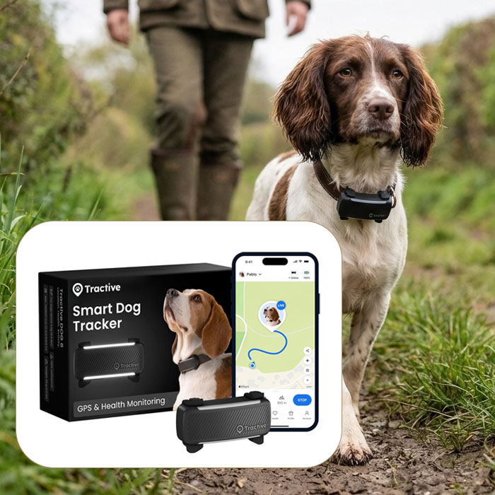 Tractive smart dog tracker for working cocker spaniels